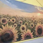 Sunflower Rome
